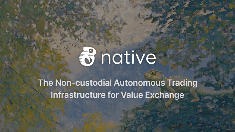 Native: on-chain price discovery and execution